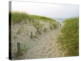 Path at Head of the Meadow Beach, Cape Cod National Seashore, Massachusetts, USA-Jerry & Marcy Monkman-Stretched Canvas