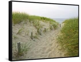 Path at Head of the Meadow Beach, Cape Cod National Seashore, Massachusetts, USA-Jerry & Marcy Monkman-Framed Stretched Canvas