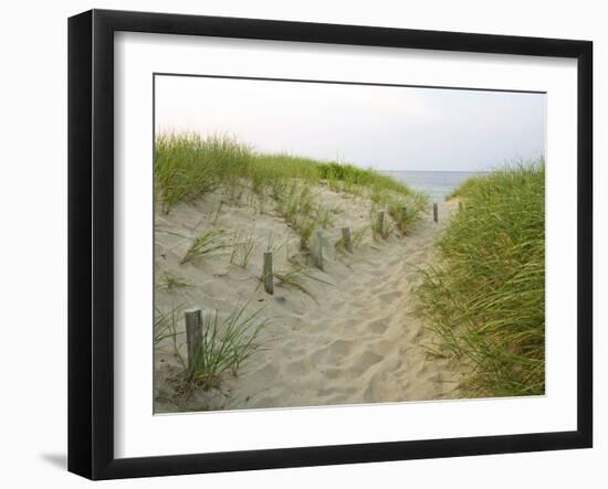 Path at Head of the Meadow Beach, Cape Cod National Seashore, Massachusetts, USA-Jerry & Marcy Monkman-Framed Premium Photographic Print