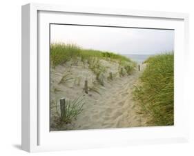 Path at Head of the Meadow Beach, Cape Cod National Seashore, Massachusetts, USA-Jerry & Marcy Monkman-Framed Premium Photographic Print