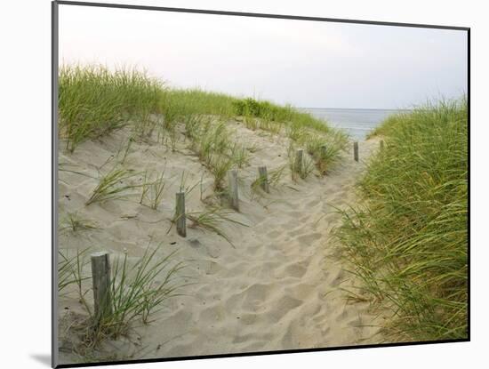 Path at Head of the Meadow Beach, Cape Cod National Seashore, Massachusetts, USA-Jerry & Marcy Monkman-Mounted Premium Photographic Print