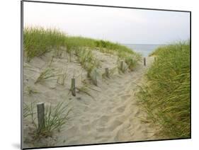 Path at Head of the Meadow Beach, Cape Cod National Seashore, Massachusetts, USA-Jerry & Marcy Monkman-Mounted Premium Photographic Print