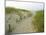 Path at Head of the Meadow Beach, Cape Cod National Seashore, Massachusetts, USA-Jerry & Marcy Monkman-Mounted Premium Photographic Print