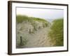 Path at Head of the Meadow Beach, Cape Cod National Seashore, Massachusetts, USA-Jerry & Marcy Monkman-Framed Premium Photographic Print