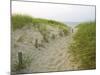 Path at Head of the Meadow Beach, Cape Cod National Seashore, Massachusetts, USA-Jerry & Marcy Monkman-Mounted Premium Photographic Print
