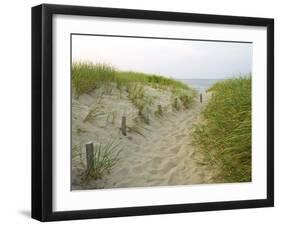 Path at Head of the Meadow Beach, Cape Cod National Seashore, Massachusetts, USA-Jerry & Marcy Monkman-Framed Photographic Print