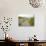 Path at Head of the Meadow Beach, Cape Cod National Seashore, Massachusetts, USA-Jerry & Marcy Monkman-Photographic Print displayed on a wall