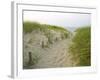 Path at Head of the Meadow Beach, Cape Cod National Seashore, Massachusetts, USA-Jerry & Marcy Monkman-Framed Photographic Print