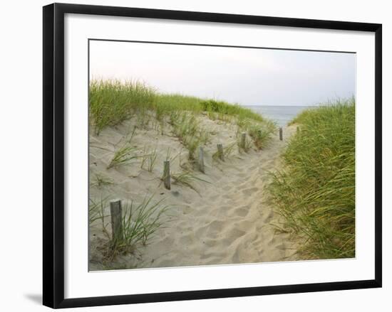 Path at Head of the Meadow Beach, Cape Cod National Seashore, Massachusetts, USA-Jerry & Marcy Monkman-Framed Photographic Print