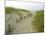 Path at Head of the Meadow Beach, Cape Cod National Seashore, Massachusetts, USA-Jerry & Marcy Monkman-Mounted Photographic Print