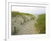 Path at Head of the Meadow Beach, Cape Cod National Seashore, Massachusetts, USA-Jerry & Marcy Monkman-Framed Photographic Print