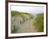 Path at Head of the Meadow Beach, Cape Cod National Seashore, Massachusetts, USA-Jerry & Marcy Monkman-Framed Photographic Print