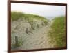 Path at Head of the Meadow Beach, Cape Cod National Seashore, Massachusetts, USA-Jerry & Marcy Monkman-Framed Photographic Print