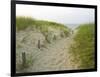 Path at Head of the Meadow Beach, Cape Cod National Seashore, Massachusetts, USA-Jerry & Marcy Monkman-Framed Photographic Print