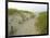 Path at Head of the Meadow Beach, Cape Cod National Seashore, Massachusetts, USA-Jerry & Marcy Monkman-Framed Photographic Print