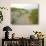 Path at Head of the Meadow Beach, Cape Cod National Seashore, Massachusetts, USA-Jerry & Marcy Monkman-Photographic Print displayed on a wall