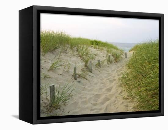 Path at Head of the Meadow Beach, Cape Cod National Seashore, Massachusetts, USA-Jerry & Marcy Monkman-Framed Stretched Canvas