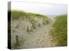 Path at Head of the Meadow Beach, Cape Cod National Seashore, Massachusetts, USA-Jerry & Marcy Monkman-Stretched Canvas