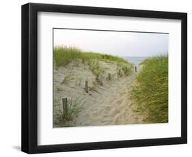 Path at Head of the Meadow Beach, Cape Cod National Seashore, Massachusetts, USA-Jerry & Marcy Monkman-Framed Photographic Print