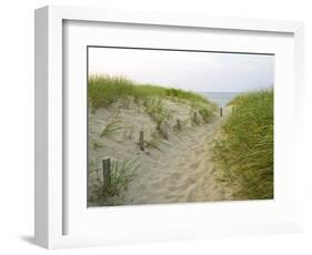 Path at Head of the Meadow Beach, Cape Cod National Seashore, Massachusetts, USA-Jerry & Marcy Monkman-Framed Photographic Print