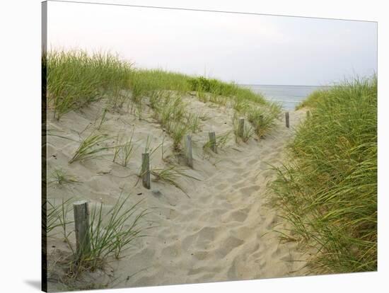 Path at Head of the Meadow Beach, Cape Cod National Seashore, Massachusetts, USA-Jerry & Marcy Monkman-Stretched Canvas