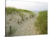 Path at Head of the Meadow Beach, Cape Cod National Seashore, Massachusetts, USA-Jerry & Marcy Monkman-Stretched Canvas