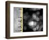 Path I-Studio 2-Framed Photographic Print