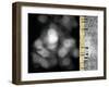 Path II-Studio 2-Framed Photographic Print