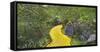 Path in a forest, Wizard of Oz Park, North Carolina, USA-Panoramic Images-Framed Stretched Canvas