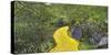 Path in a forest, Wizard of Oz Park, North Carolina, USA-Panoramic Images-Stretched Canvas