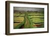 Path in a Meadow-Félix Vallotton-Framed Giclee Print