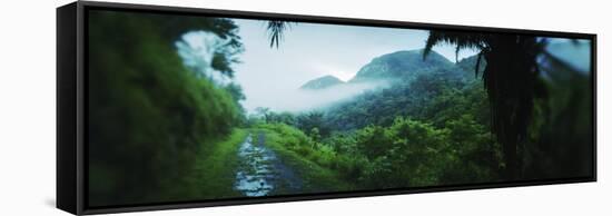 Path in a Rainforest, Cayo District, Belize-null-Framed Stretched Canvas