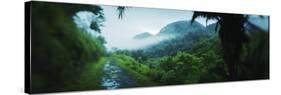 Path in a Rainforest, Cayo District, Belize-null-Stretched Canvas