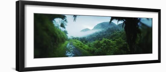 Path in a Rainforest, Cayo District, Belize-null-Framed Photographic Print