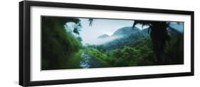 Path in a Rainforest, Cayo District, Belize-null-Framed Photographic Print