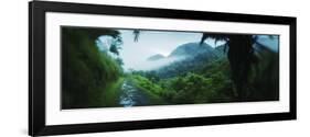 Path in a Rainforest, Cayo District, Belize-null-Framed Photographic Print