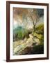 Path in Harroy-Pol Ledent-Framed Art Print