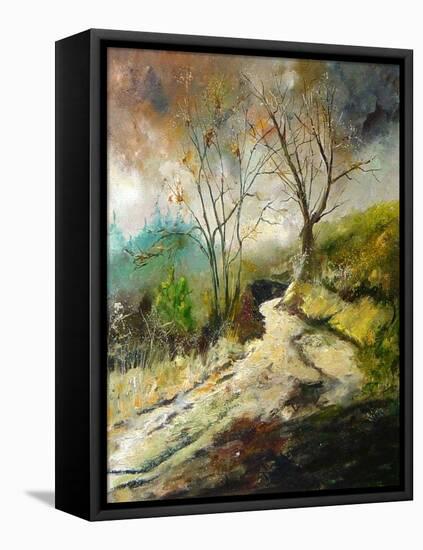 Path in Harroy-Pol Ledent-Framed Stretched Canvas