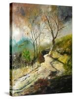 Path in Harroy-Pol Ledent-Stretched Canvas