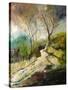 Path in Harroy-Pol Ledent-Stretched Canvas