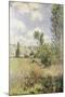 Path in Ile Saint Martin, Vetheuil-Claude Monet-Mounted Giclee Print