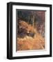 Path in Muhltal-Eugen Bracht-Framed Art Print