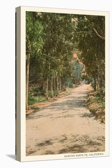 Path in Old Rancho Santa Fe, California-null-Stretched Canvas