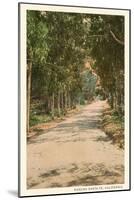 Path in Old Rancho Santa Fe, California-null-Mounted Art Print