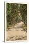 Path in Old Rancho Santa Fe, California-null-Stretched Canvas
