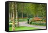 Path in Park with Tulips in Many Colors-Colette2-Framed Stretched Canvas