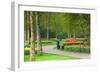 Path in Park with Tulips in Many Colors-Colette2-Framed Photographic Print