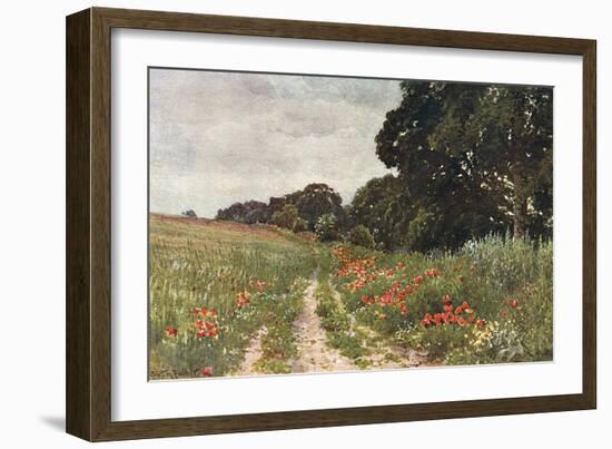 Path in Poppy Field-null-Framed Art Print