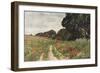 Path in Poppy Field-null-Framed Art Print