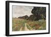 Path in Poppy Field-null-Framed Art Print